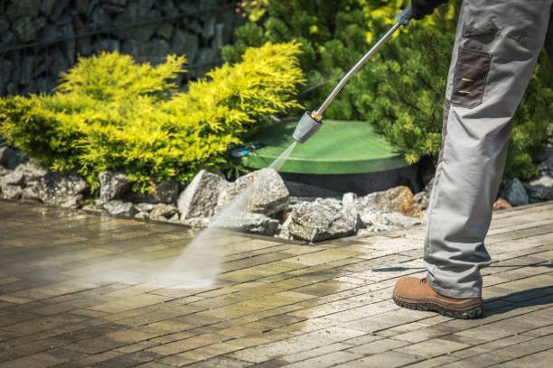 Best House Exterior Washing  in Cross Plains, TN